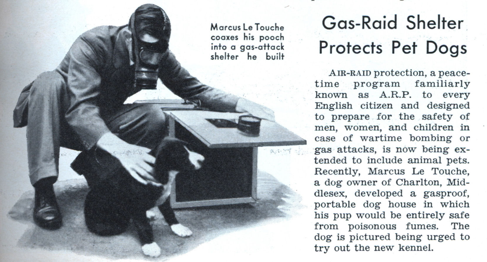 pet_gas_shelter