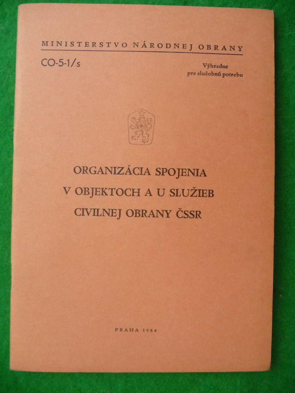 P1020919