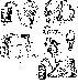 Image406